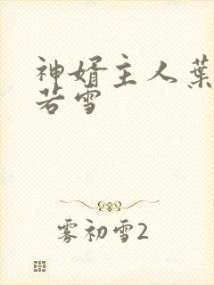 神婿主人叶凡唐若雪