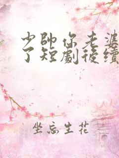 少帅你老婆又跑了短剧后续