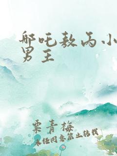 哪吒敖丙小说双男主