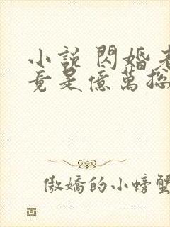 小说 闪婚老公竟是亿万总裁