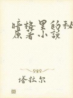 暗格里的秘密的原著小说