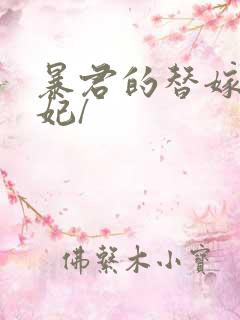 暴君的替嫁小毒妃/