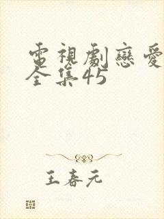 电视剧恋爱先生全集45