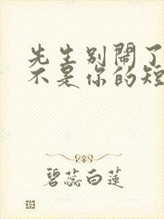 先生别闹了新娘不是你的短剧完版全集