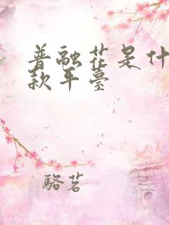 普融花是什么贷款平台