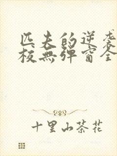 匹夫的逆袭骁骑校无弹窗全文免费阅读