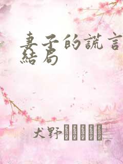 妻子的谎言一珊结局