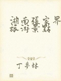 湖南张家界必去旅游景点