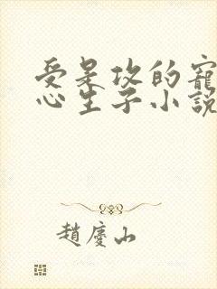 受是攻的宠妃虐心生子小说