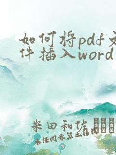 如何将pdf文件插入word中