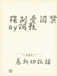 强制爱囚禁play调教