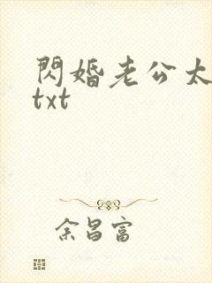 闪婚老公太凶猛txt