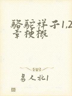 骆驼祥子1,2章梗概