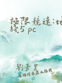 极限竞速:地平线5 pc