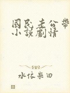 国民老公带回家小说剧情