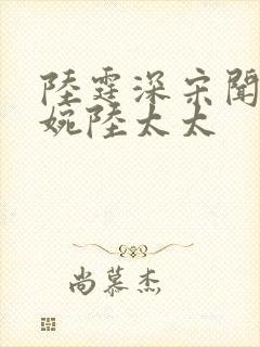 陆霆深宋闻璟林婉陆太太