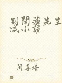 别闹薄先生无删减小说