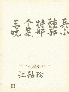 三个特种兵林晚晚是哪部小说