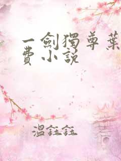 一剑独尊叶玄免费小说