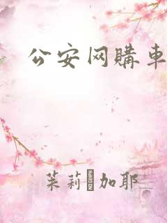 公安网购车网址