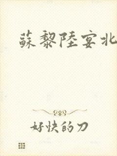 苏黎陆宴北小说