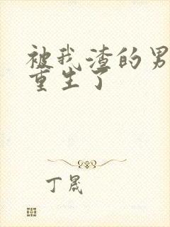 被我渣的男主都重生了