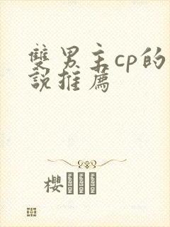 双男主cp的小说推荐