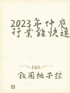 2023年什么行业能快速赚钱