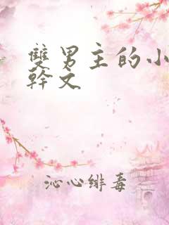 双男主的小说高干文