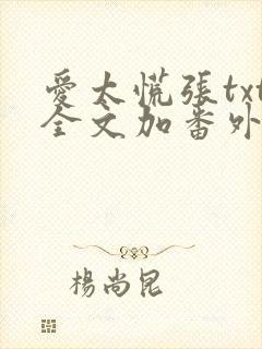爱太慌张txt全文加番外