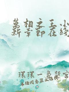 万相之王小说最新章节在线阅读