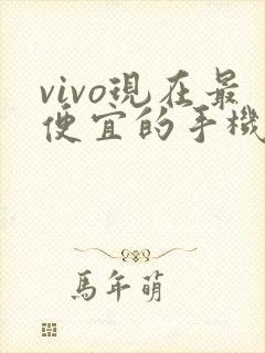 vivo现在最便宜的手机多少钱