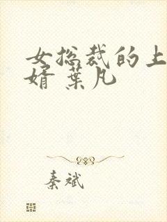 女总裁的上门女婿 叶凡