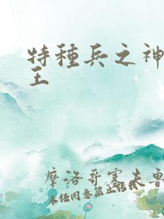 特种兵之神级兵王
