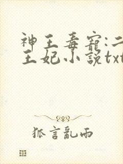 神王毒宠:二嫁王妃小说txt