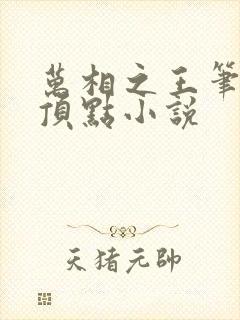 万相之王笔趣阁顶点小说