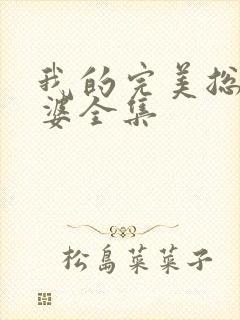 我的完美总裁老婆全集