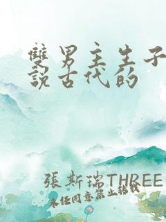 双男主生子文小说古代的