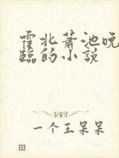 霍北萧池晚言顾临的小说