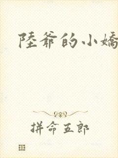陆爷的小娇妻