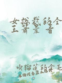 女总裁的全能兵王萧晨 看