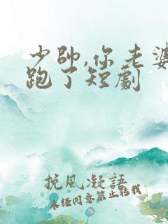 少帅,你老婆又跑了短剧