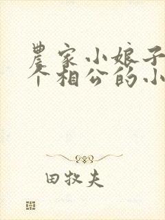 农家小娘子嫁四个相公的小说