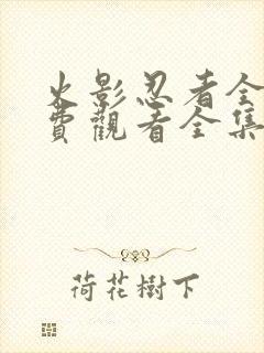 火影忍者全集免费观看全集