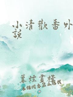 小清欢番外篇小说