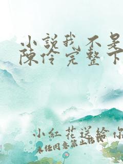 小说我不是戏神陈伶完整下载