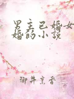 男主已婚女主未婚的小说