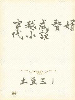 穿越成赘婿的古代小说