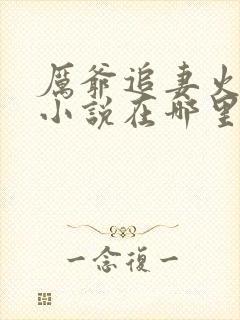 厉爷追妻火葬场小说在哪里可以看