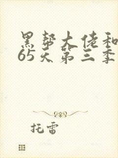 黑帮大佬和我365天第三季